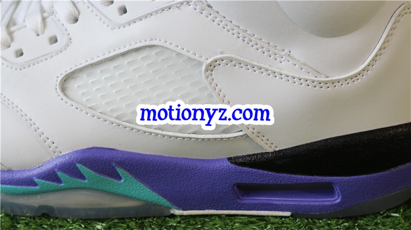 Authentic Air Jordan 5 Retro Grapes